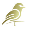 Golden Canary Group